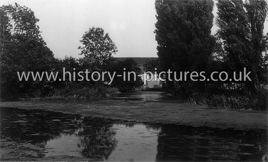 The Mill Pool, Heybridge, Essex. c.1940's